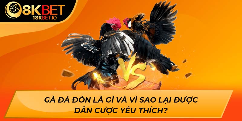Gà đá đòn là gì và vì sao lại được dân cược yêu thích?