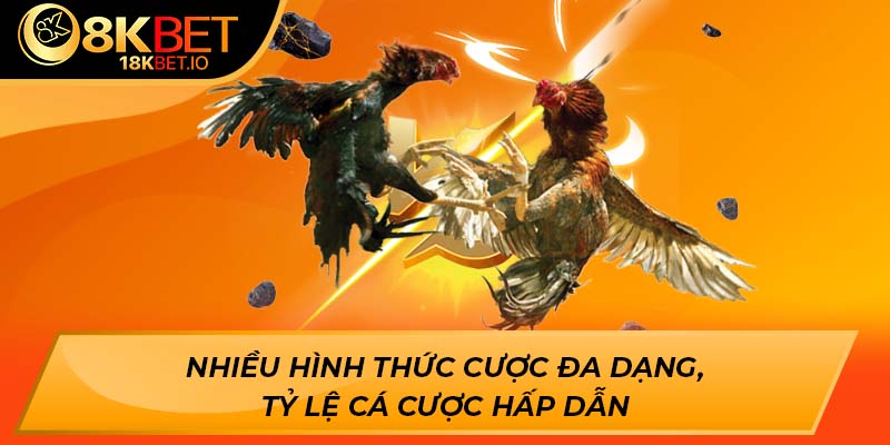 Nhiều hình thức cược đa dạng, tỷ lệ cá cược hấp dẫn